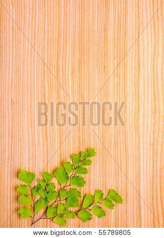 Branch On Wooden  Background