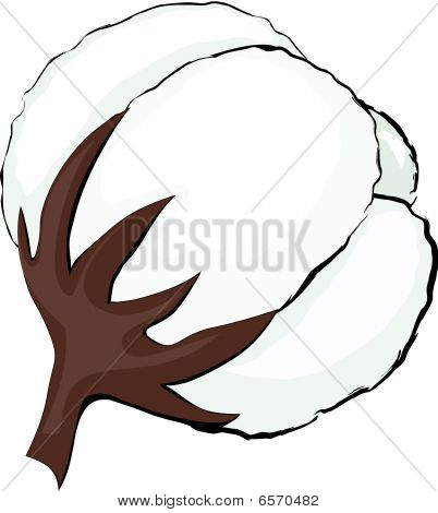 cotton plant chat This site might help you re: where can i buy a cotton plant know any well known stores that i can buy or order cotton seeds or an already growing cotton plant. cotton plant chat This site might help you re: where can i buy a cotton plant know any well known stores that i can buy or order cotton seeds or an already growing cotton plant.