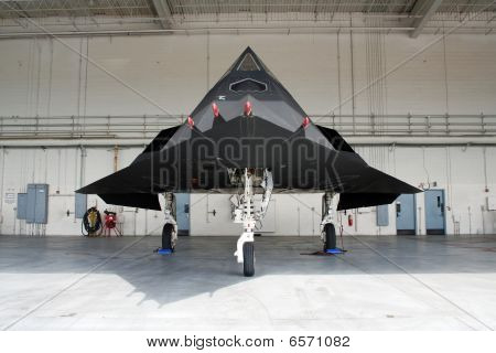 F-117 Stealth Fighter