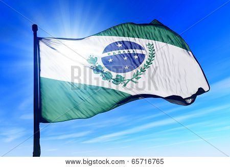 Parana (brazil) Flag Waving On The Wind