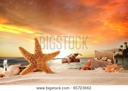 Summer concept with sandy beach, shells and starfish.