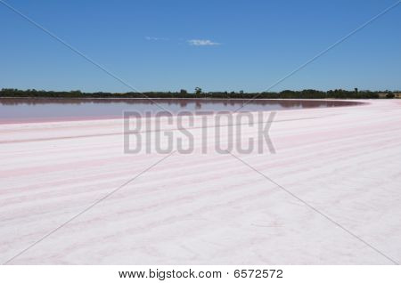 Rosa Lago Victoria