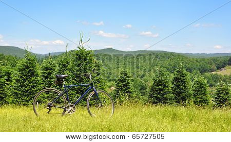 A biker's mountain bike resting in a grassy meadow