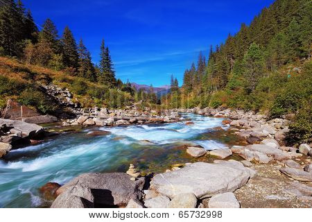 Pastoral in the Alpine mountain valley in Austria. Cascades of cold water at the source of the famous Krimml waterfalls. Rapid mountain stream of coniferous forests