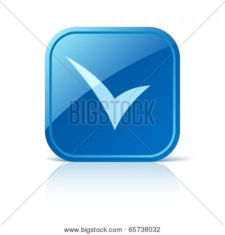 Check mark icon on blue web button