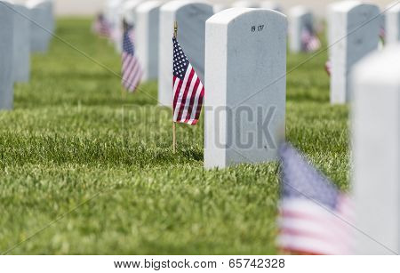 veterans cemetery memorial celebration with American Flag