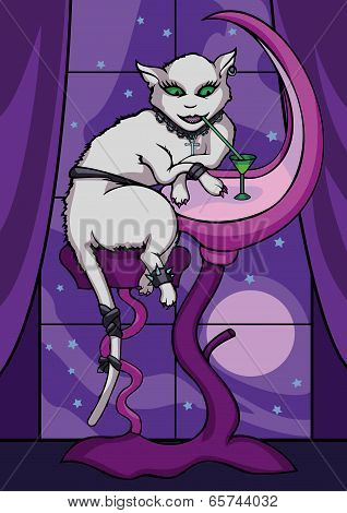 Gothic Cat