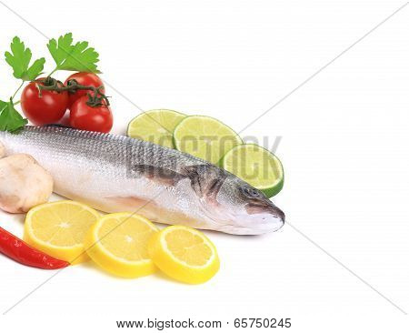 Fresh mackerel fish with lemon  and lime