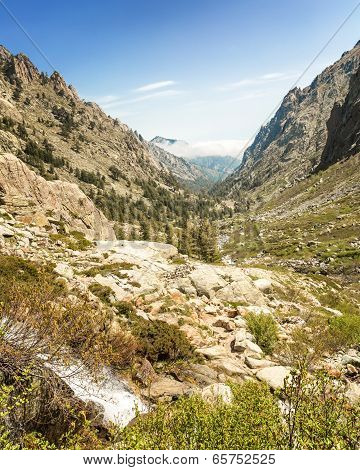 Restonica Valley In Corsica
