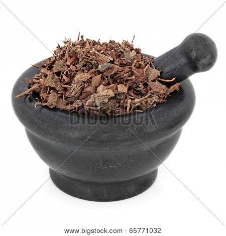 Houttuynia herb chinese herbal medicine in a black stone mortar with pestle over white background. Yu xing cao. 
