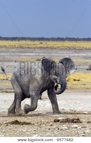 Nebrownii Waterhole