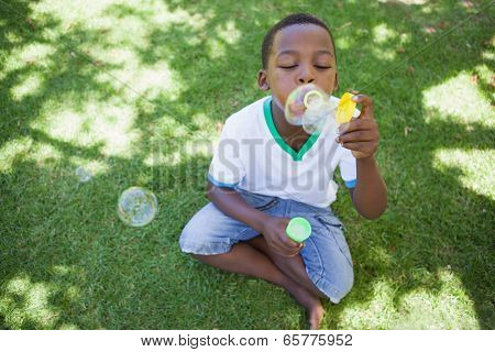 Little boy blowing bubbles in the park on a sunny day