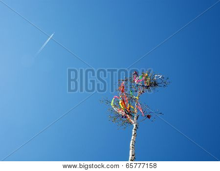 Looking Up At May Pole And Aircraft