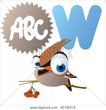 W is for Waxwing
