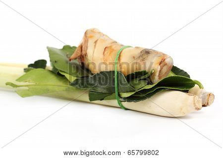 Ingredient For Tomyam Set (thai Food)