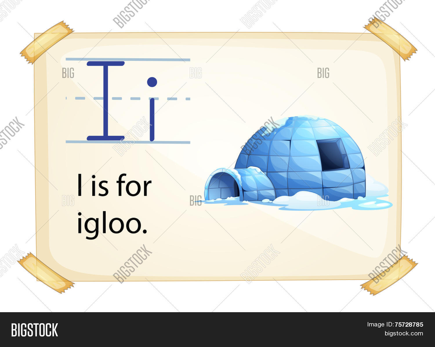 Image Preview