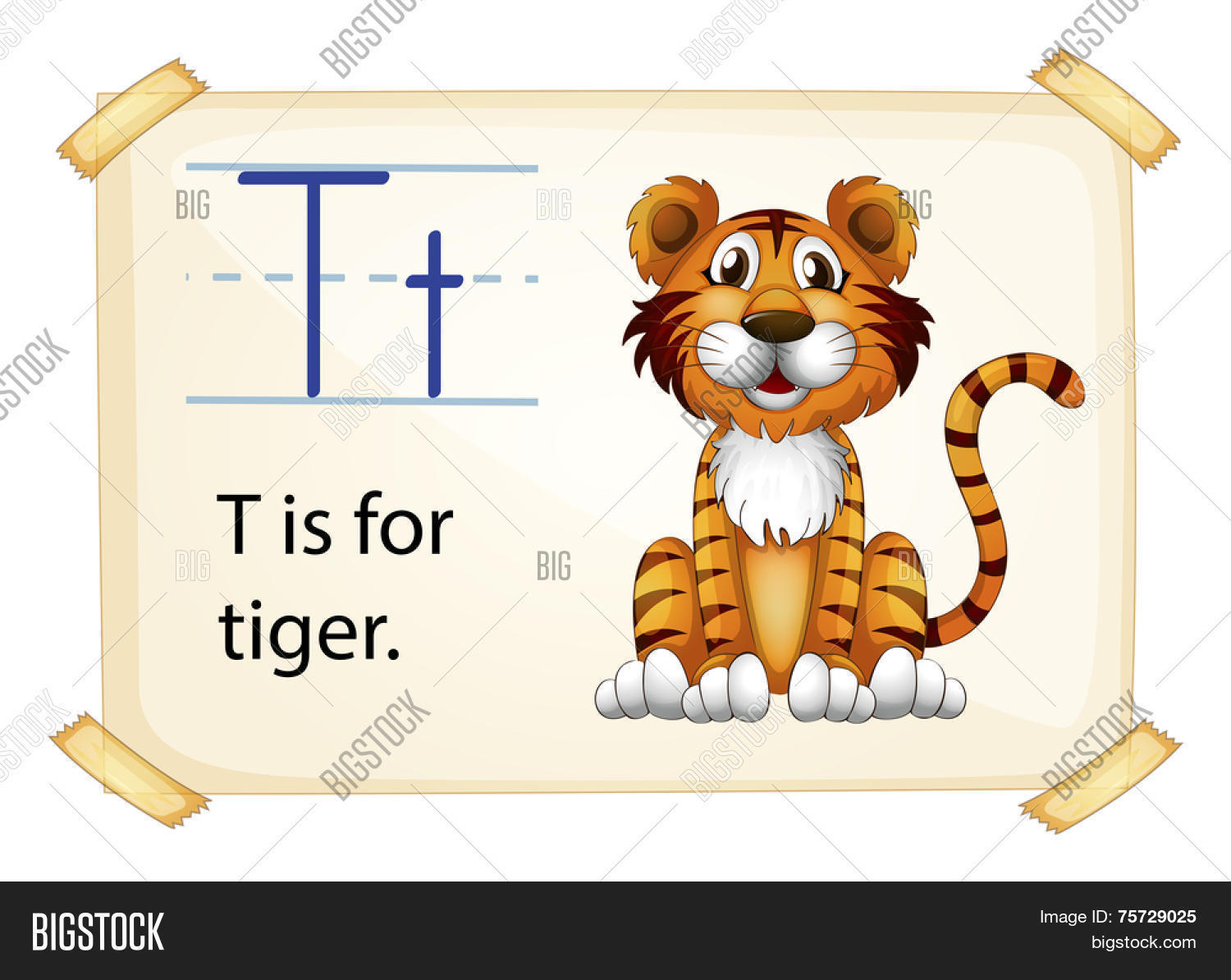 Картинки животных на букву т. Буква т тигр. Тигр в азбуке. Слова с буквами тигр. Буква т в виде тигра рисунок.