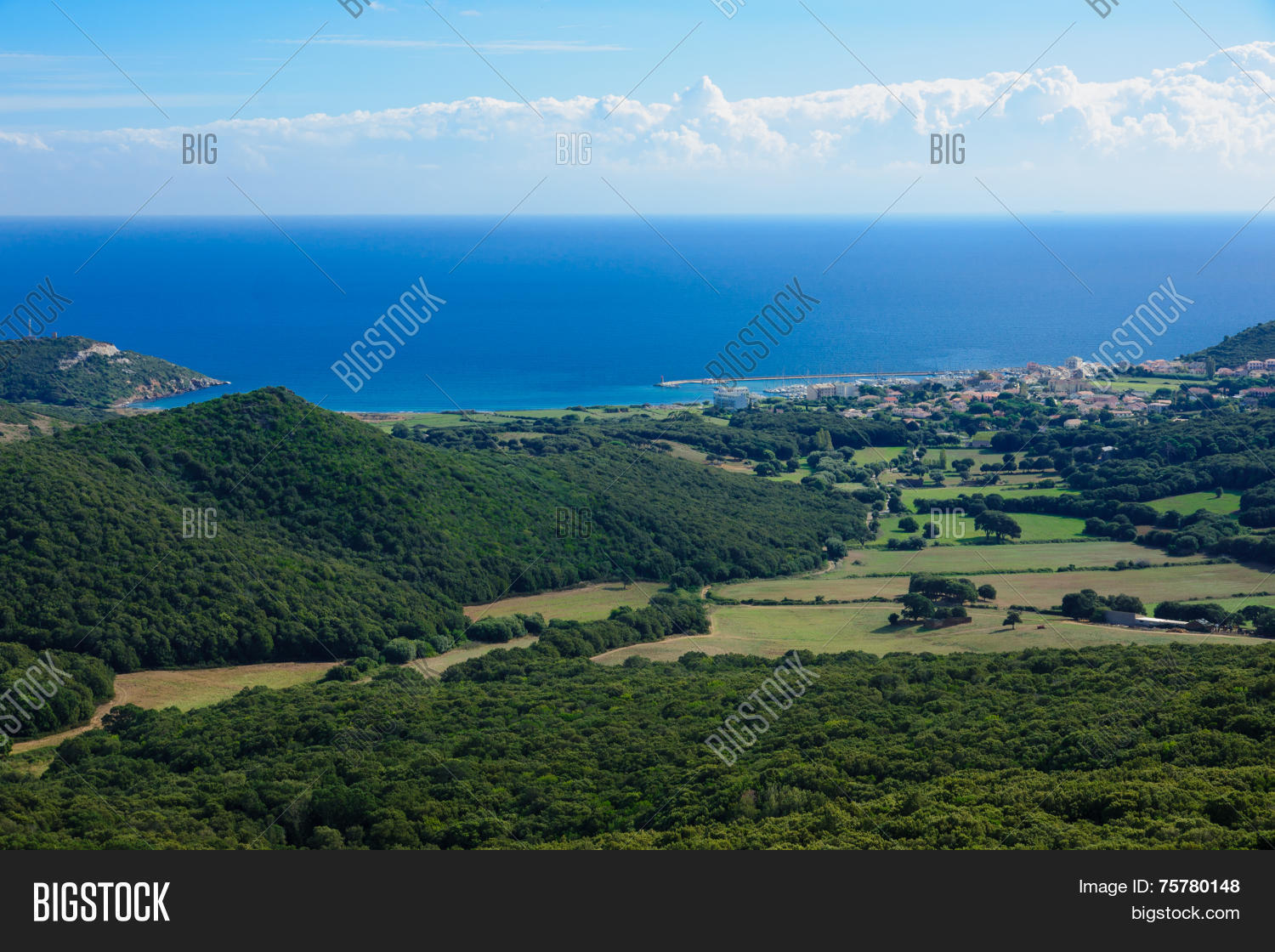 Image Preview
