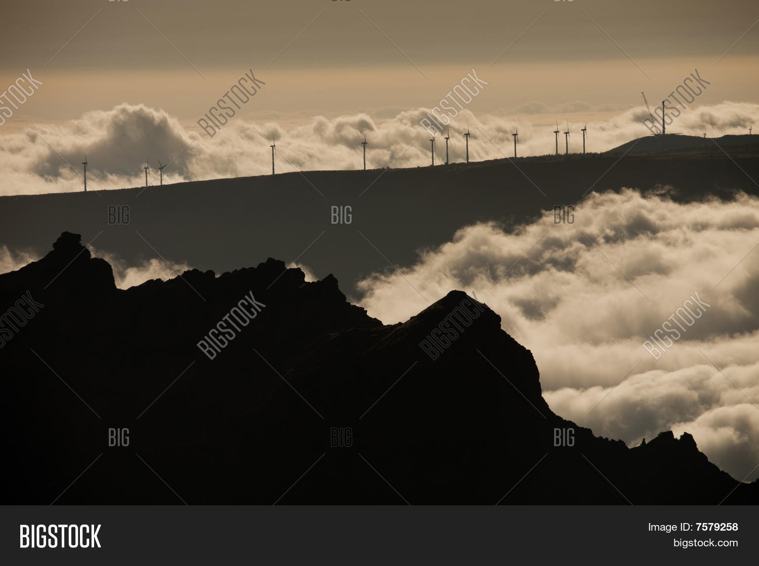 Image Preview