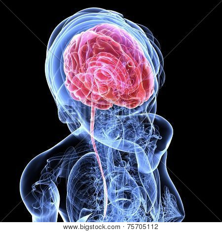 female brain cancer