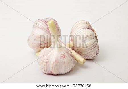 Three Heads Of Garlic On A White Background.