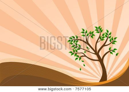 Baum Hintergrund