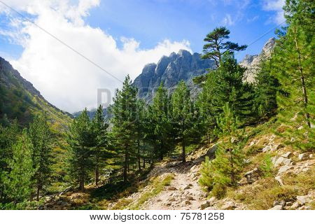 Restonica Gorge