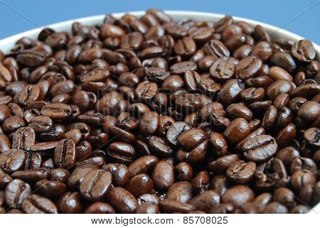 Arabica Coffee Beans in White Bowl Against a Blue Background