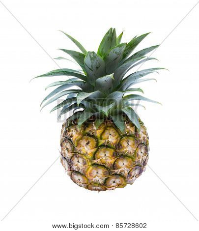Pineapple isolated on white background