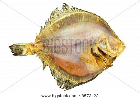 Salted Turbot Flatfish