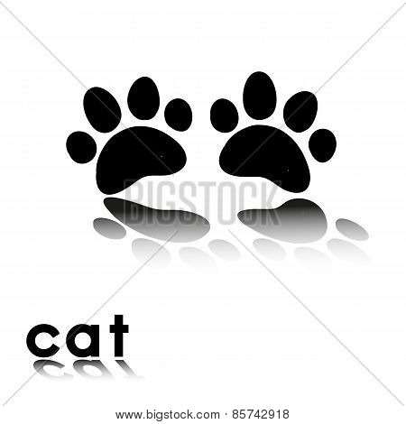 Cat's Paw Prints