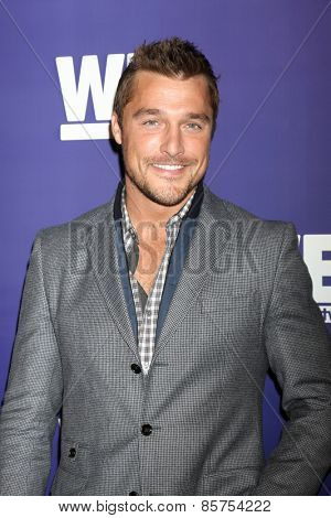 LOS ANGELES - MAR 19:  Chris Soules at the WE tv Presents 