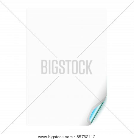 Empty Paper Sheet with Curled Corner. Vector Illustration