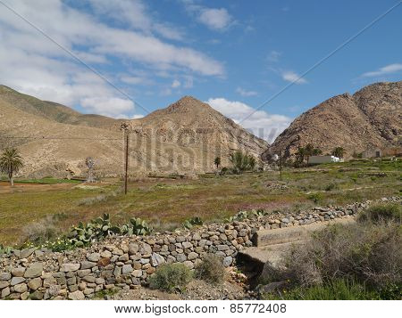 Buen Paso valley on Fuerteventura