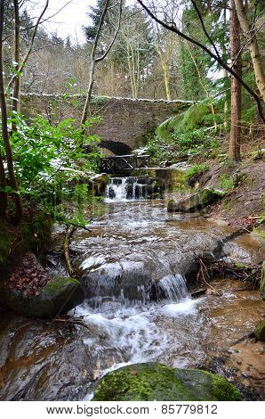River in Woods