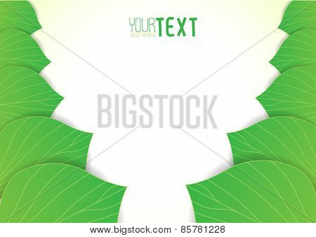 Background Text Leaves V1