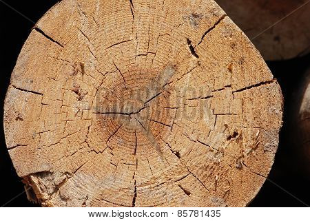 Timber