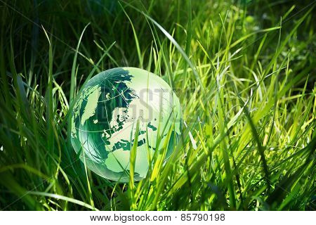 Glass globe in the grass