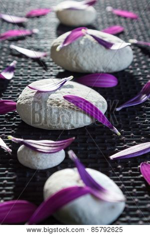 White stones e purple petals vertical