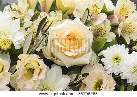 Rose and freesia