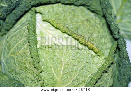 Collard yeşillik