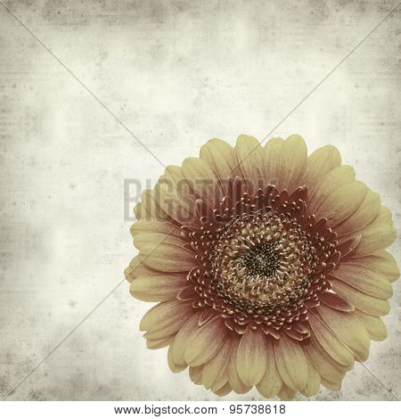 Textured Old Paper Background