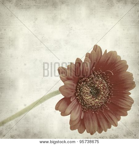 Textured Old Paper Background
