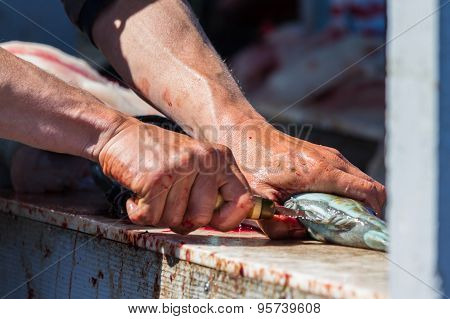 Cleaning Fish