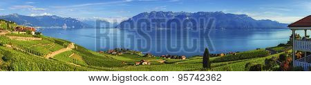 Panorama on Lavaux region, Vaud, Switzerland