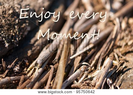 Bamboo Background Enjoy Every Moment
