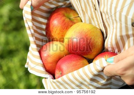 Red apple in hemline of female clothing, closeup