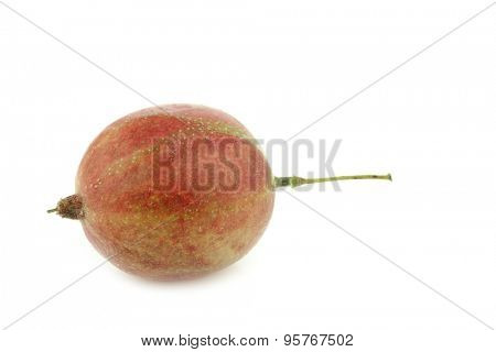 gooseberry (Ribes uva-crispa) on a white background
