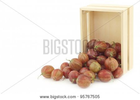 gooseberries (Ribes uva-crispa) in a wooden box on a white background