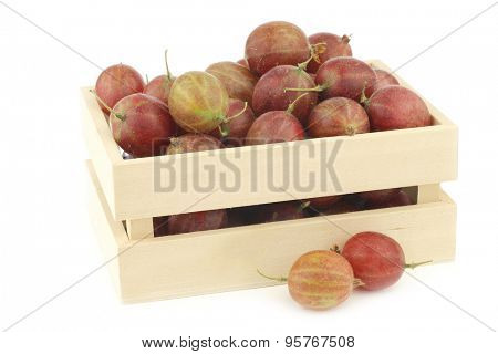 gooseberries (Ribes uva-crispa) in a wooden box on a white background